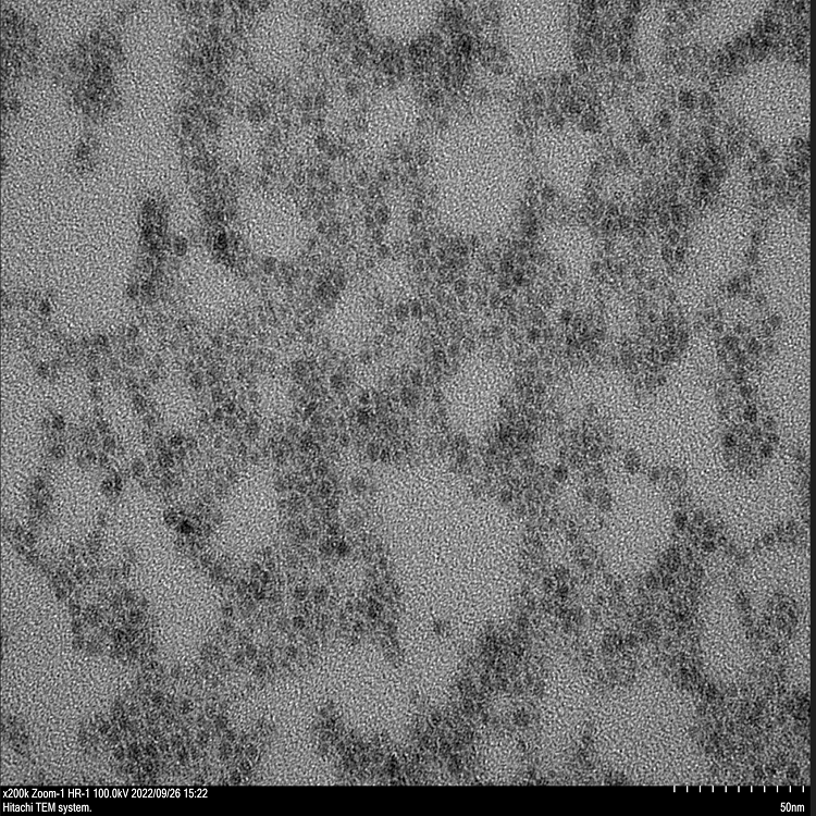 硫化铜纳米颗粒