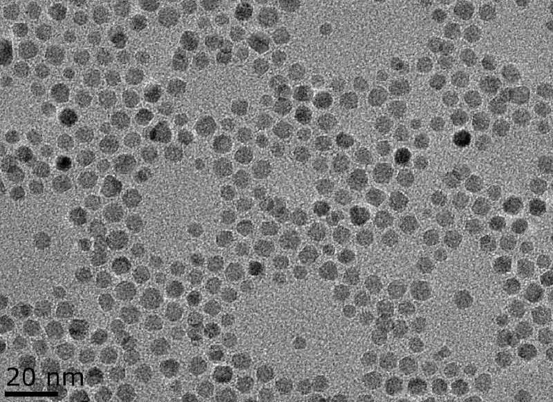 氨基磁性纳米颗粒（APTES修饰）（5-50nm）