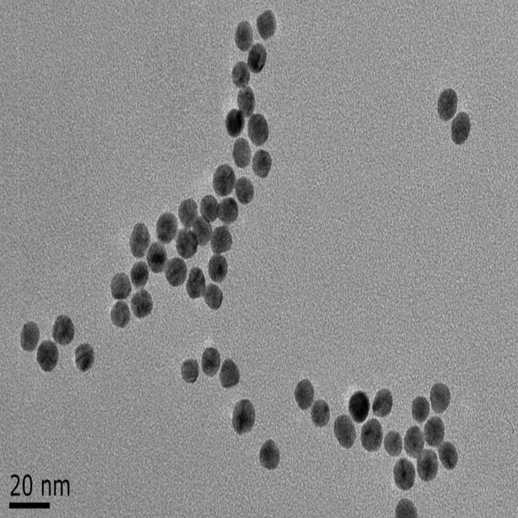 水溶性金纳米颗粒（5-200nm）