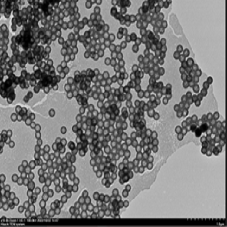 氨基中空介孔二氧化硅纳米颗粒